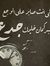 Hany El...