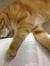 Cherie
