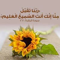 Baraa Mohamed