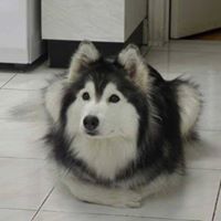 Daniel Valdivia Alvarez