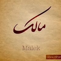 Amr Gamal