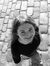 Kasia W...