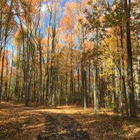 Senthilkumar Ramasamy