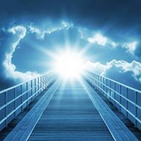 محمد الأمين.