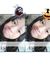 Alya Dinda