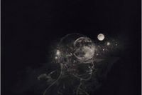 فلسطين محمود