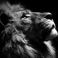 رحمة البلتاجى