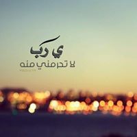 منصور القرشي