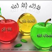 محمد السيد الخميسي