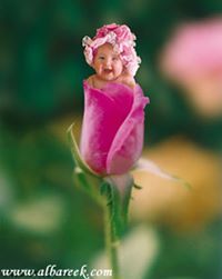 Reem Abdelhameed