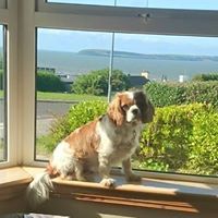 Miriam Mulkerrin Mason