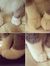 Hadil A...