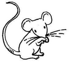 Library_Mouse