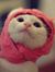 Basma F...