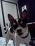 Lacie