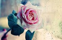 Бүжин Отгонбаяр