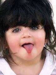 القطه الشقيه