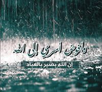 Tarek Hamdy