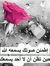 حفصة او...