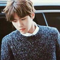 علوشي الكوري