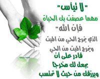 حسام أحمد البديوى