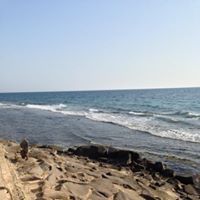 محمد الحصني