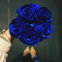 Далал Абухадиджа