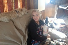 Lacey
