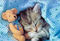 Артем Ганенко