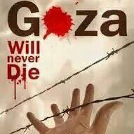 محمد دفع الله