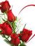 Mohamad...