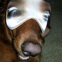 Valorie Creech Stanley