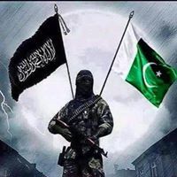 مہر اویس