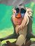 Mazen M...