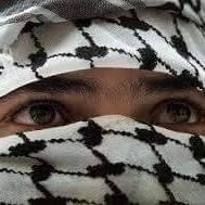 محمد المقدسي