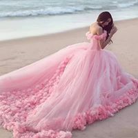 Heba Hamed
