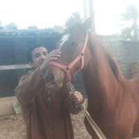 Yousef Safar