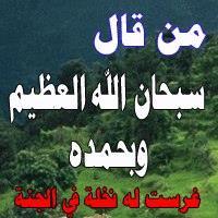 محمود حلاوه