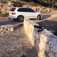 פלסטין עוטאללה