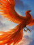 Srikanth D