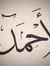 Ahmed Negm