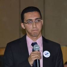 Mohamed Hamed Essa