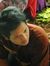 Hanif U...