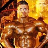 مصطفى ألمنشئ