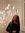 Rabia M...