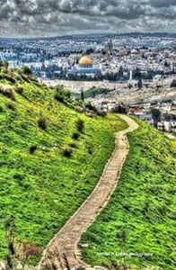 سامى الشيمى