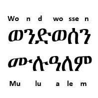Wondwossen Mulualem
