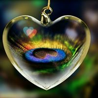 ابو عبدالعزيز