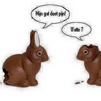 Evy Schroeven-Van Huffel