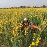 ฮันนี่ ฮันนี่